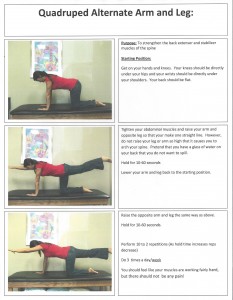 Quad Alternate Arm & Leg